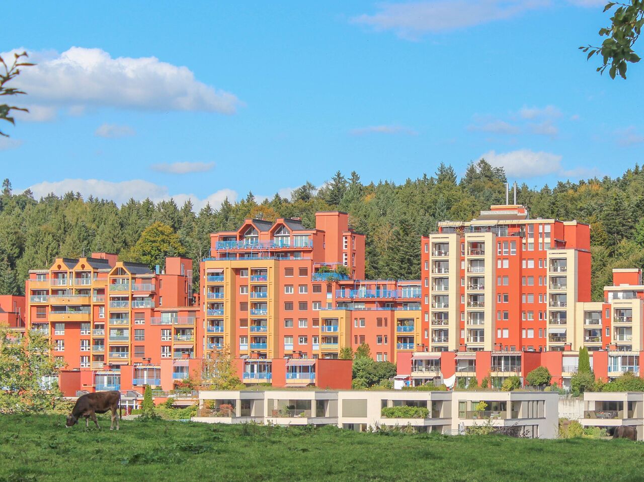 Pelletheizungen im Mehrfamilienhaus